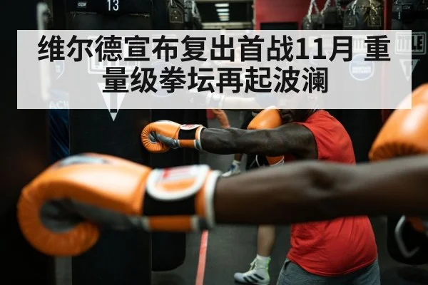 维尔德宣布复出首战11月 重量级拳坛再起波澜