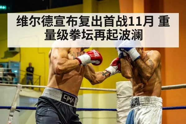 heavyweight boxing fight